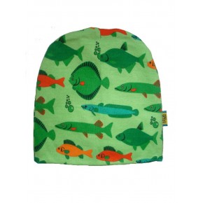Kapica Ribice